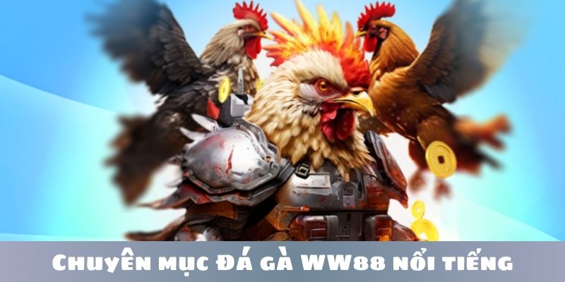 Thông tin giới thiệu về đá gà WW88 nổi tiếng hàng đầu